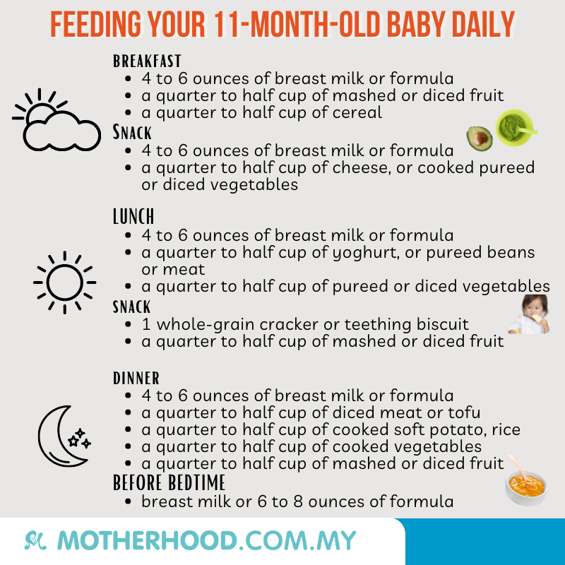 This infographic shares about how you can feed your 11-month-old baby throughout the day.