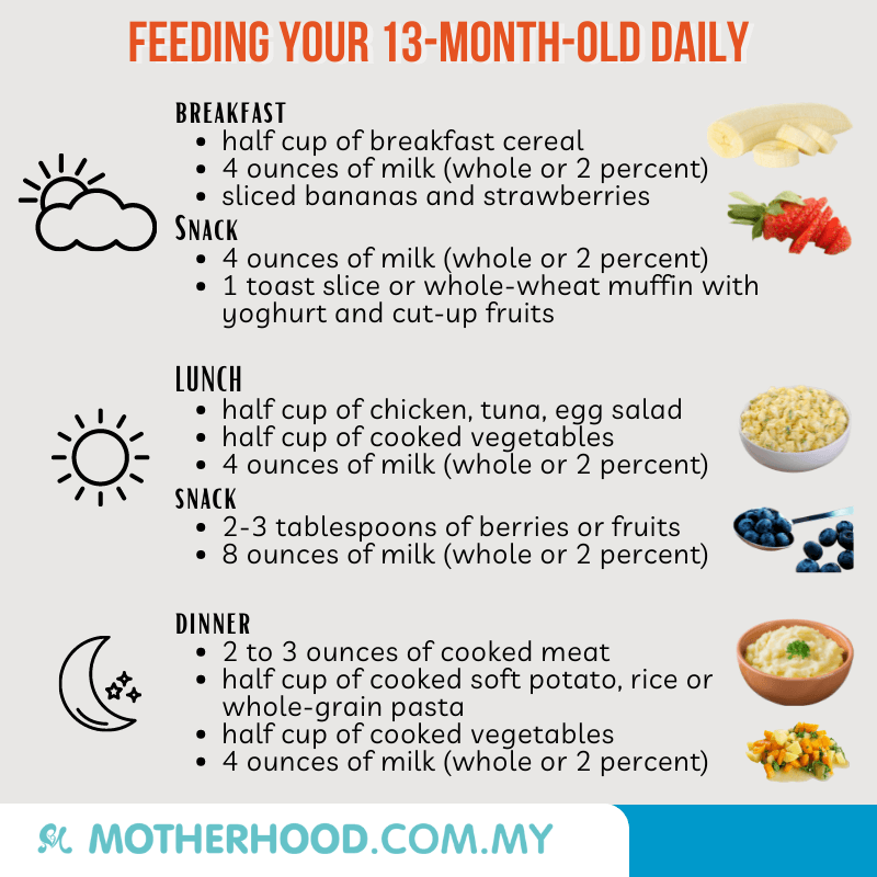 This infographic shares about how you can feed your 13-month-old baby throughout the day.