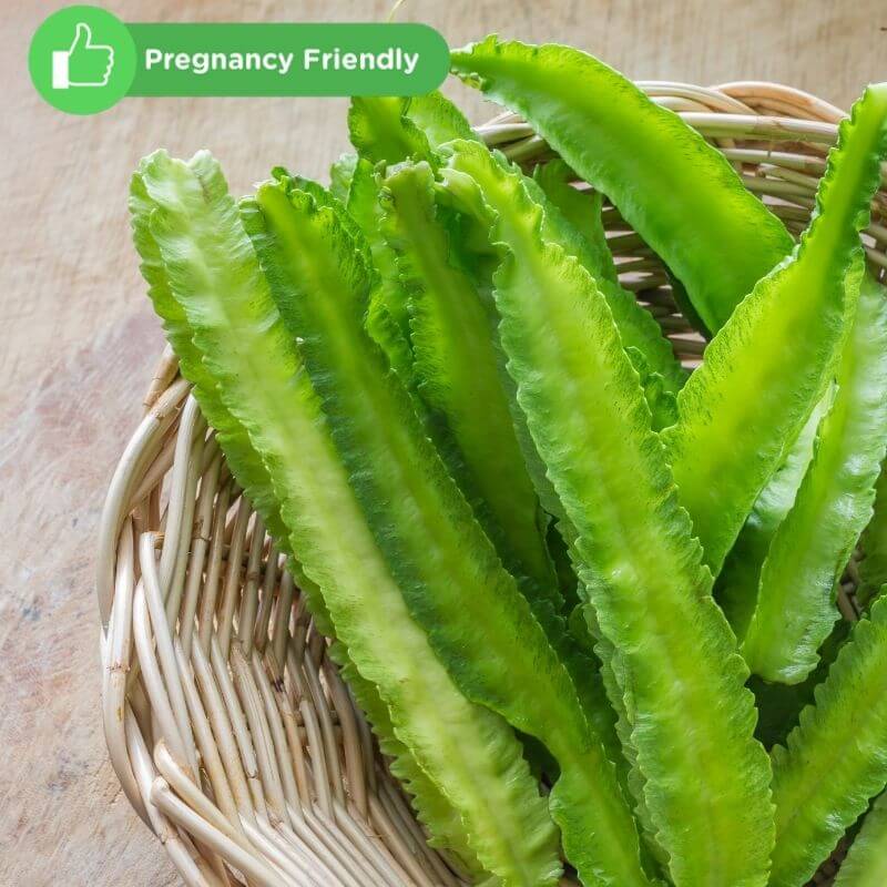 healthy pregnancy herbs