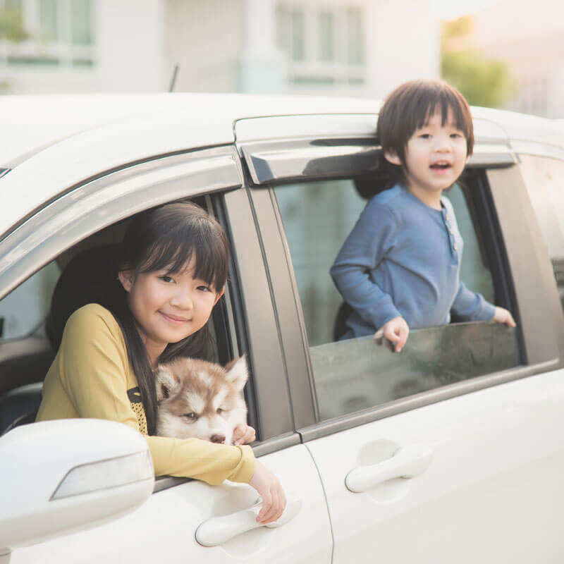 siblings in car