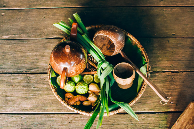 medicinal herbs during pregnancy