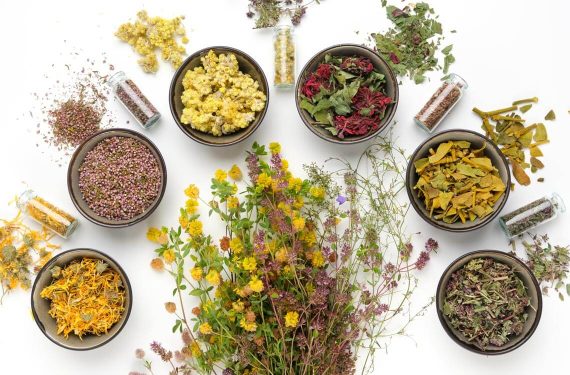 pregnancy safe foods