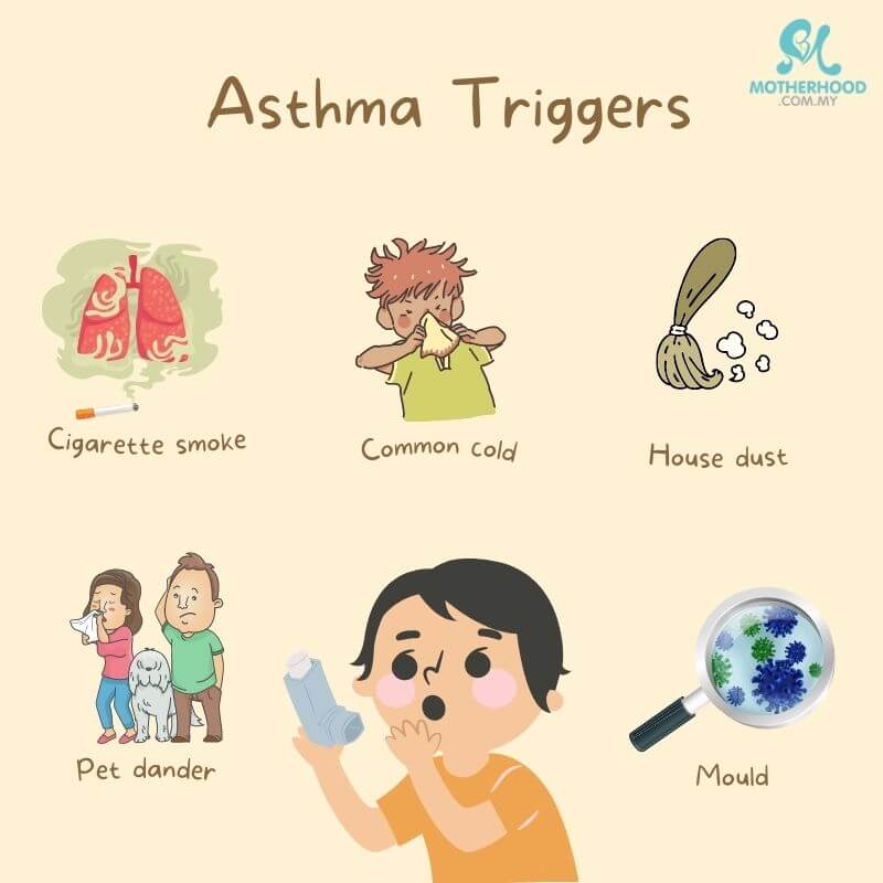 asthma triggers in asthmatic child