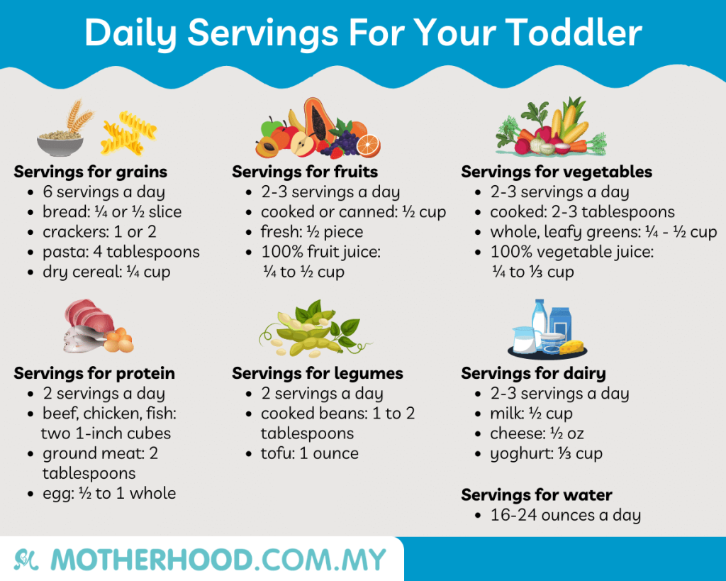 This infographic shares the amount of daily serving for a toddler.