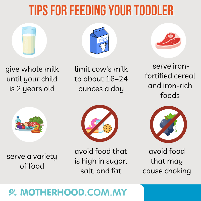 This infographic shares some useful tips to practise when you are feeding your toddler.