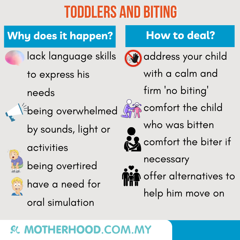 This infographic shares why and how to deal with when your toddler is biting.