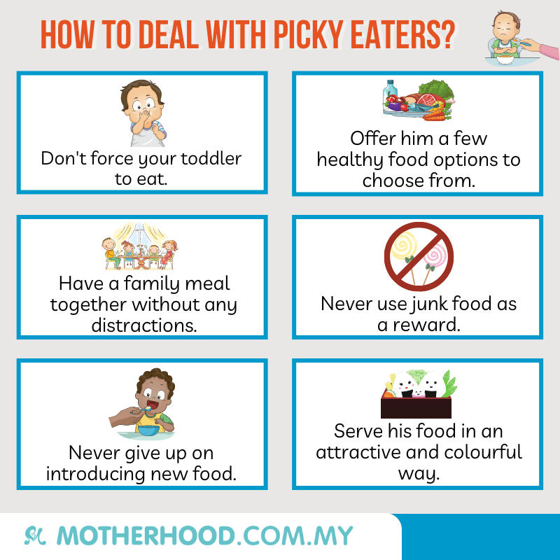 This infographic shares how you can deal with your toddler who is a picky eater.