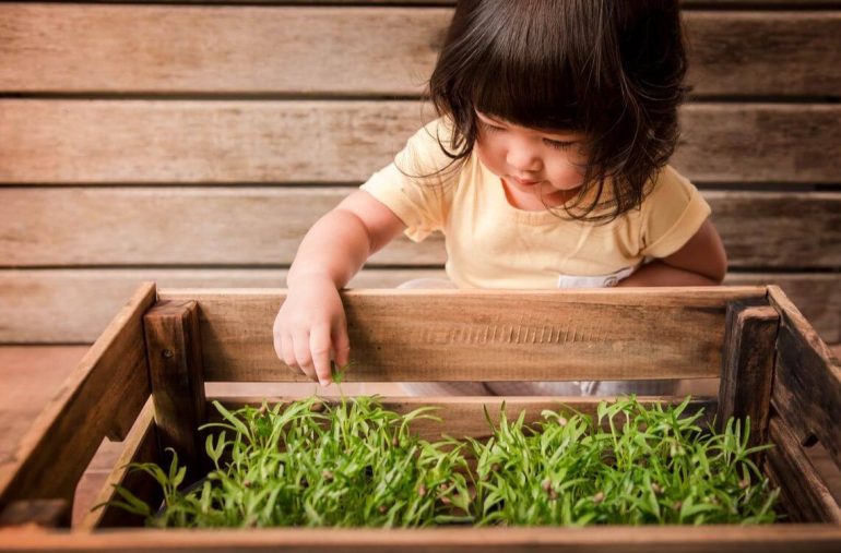 kid playing with herb