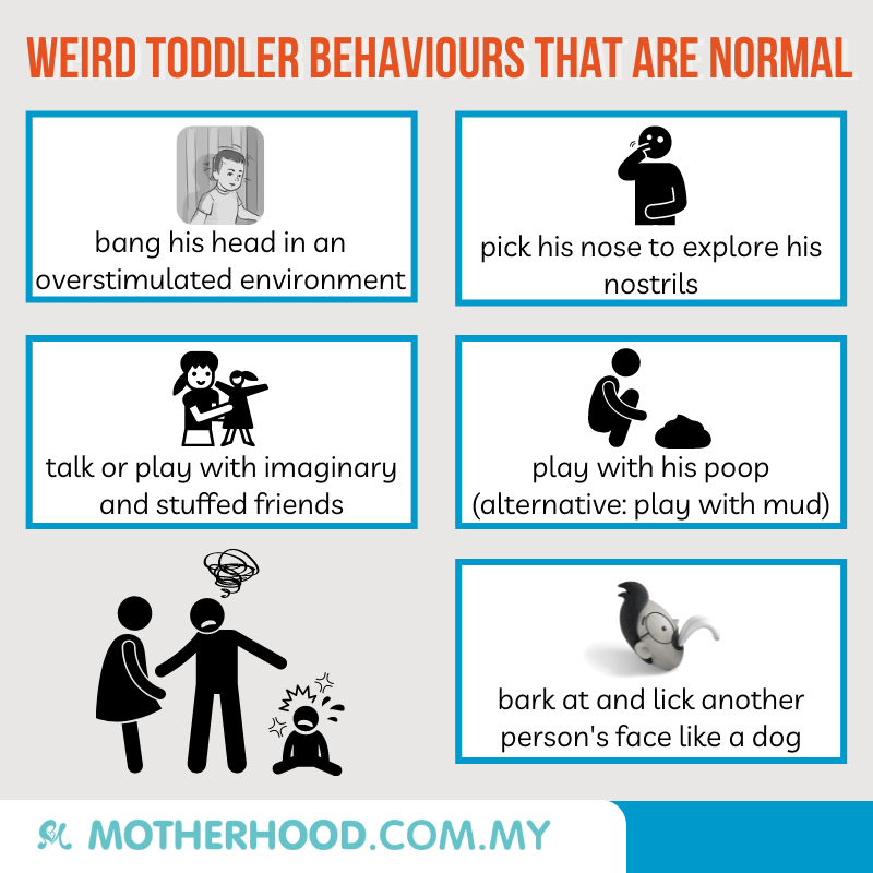 This infographic shares weird behaviours among toddlers.
