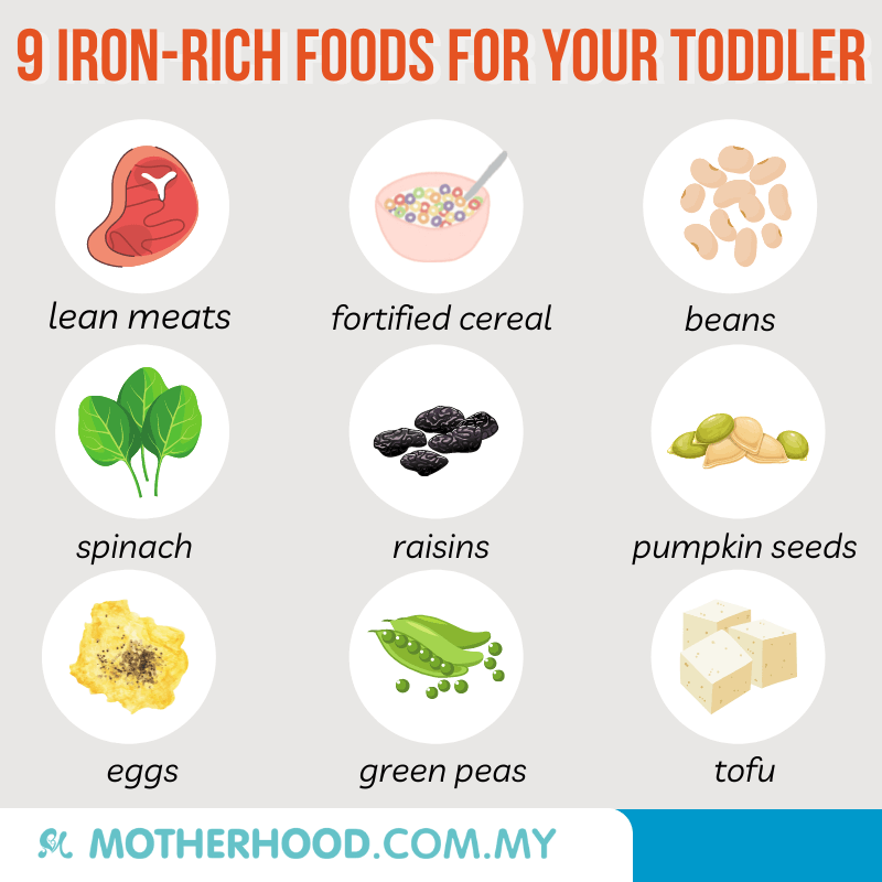 This infographic shares food that provides your toddler with iron.