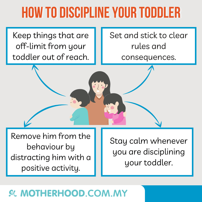 This infographic shares how you can start to discipline your toddler.