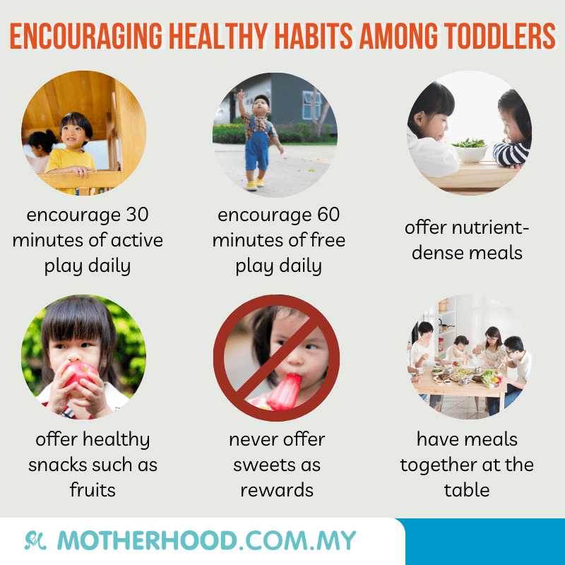 This infographic shares tips to help your toddler to establish healthy habits.