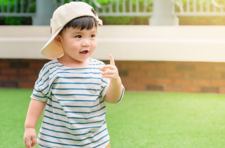 17-month-old developmental milestones