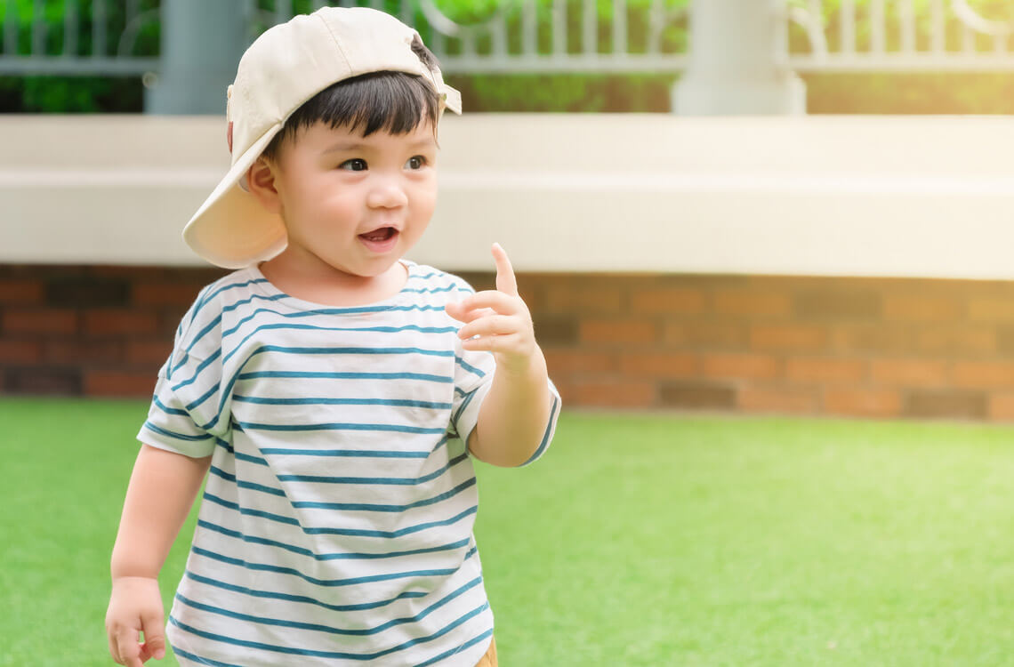 17-month-old developmental milestones