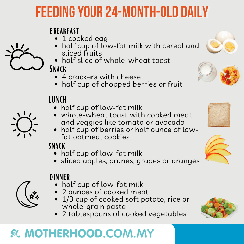This infographic shares some meal ideas for your 24-month-old toddler.