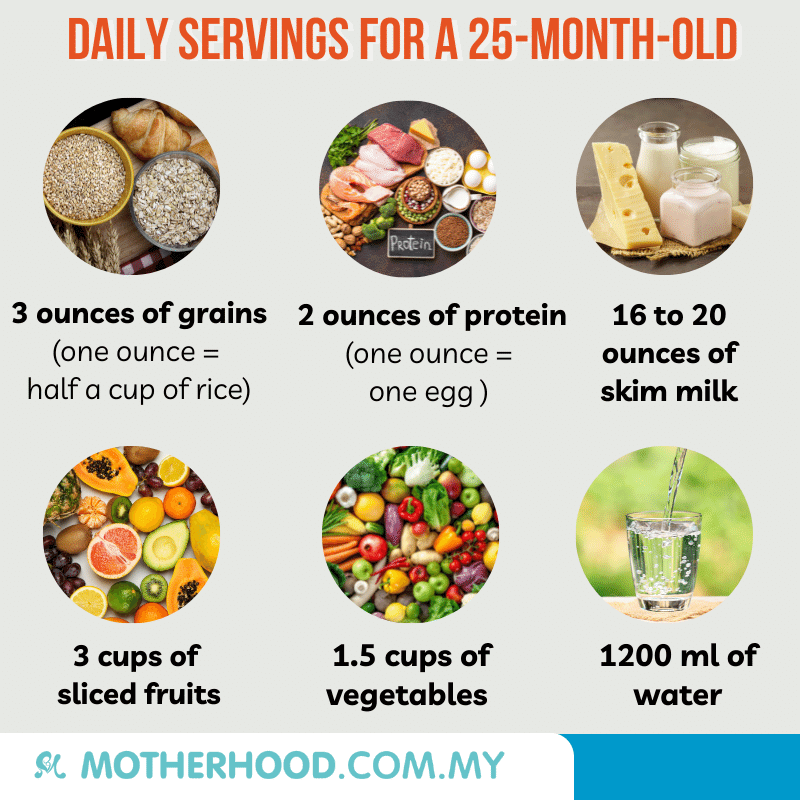 This infographic shares the daily servings needed for a 25-month-old toddler.