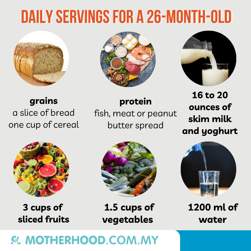 This infographic shares the daily servings for a 26-month-old.