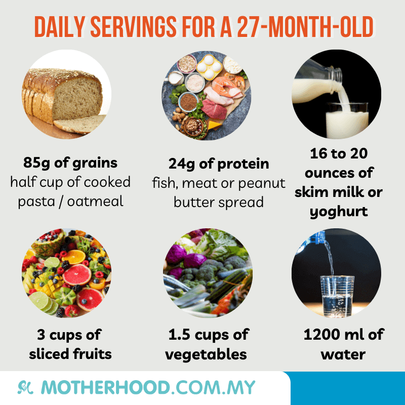 This infographic shares the suggested daily serving for 27-month-old.