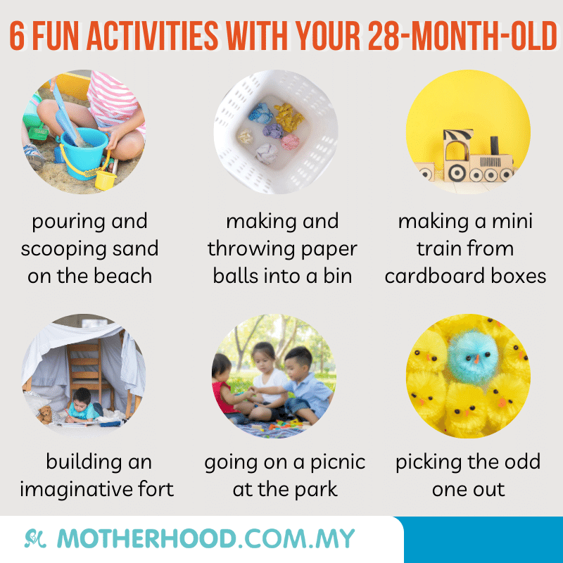This infographic shares 6 exciting activities to try out with your 28-month-old.