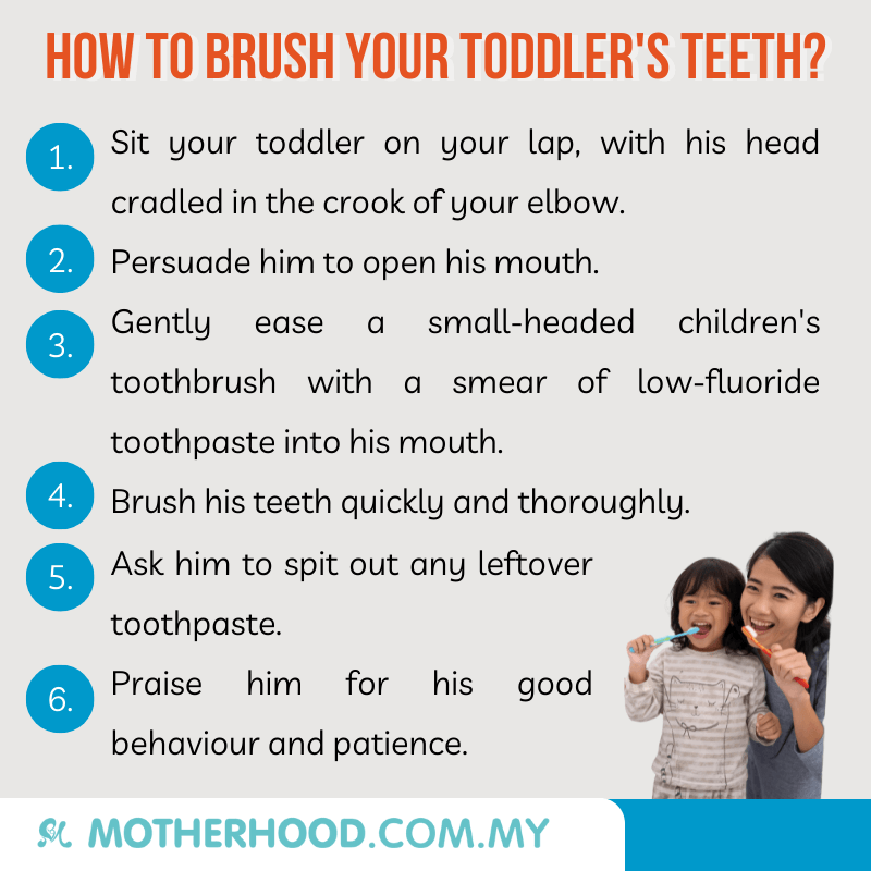 This infographic shares how you can help your toddler to brush his teeth.