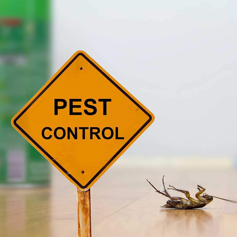 pest-control