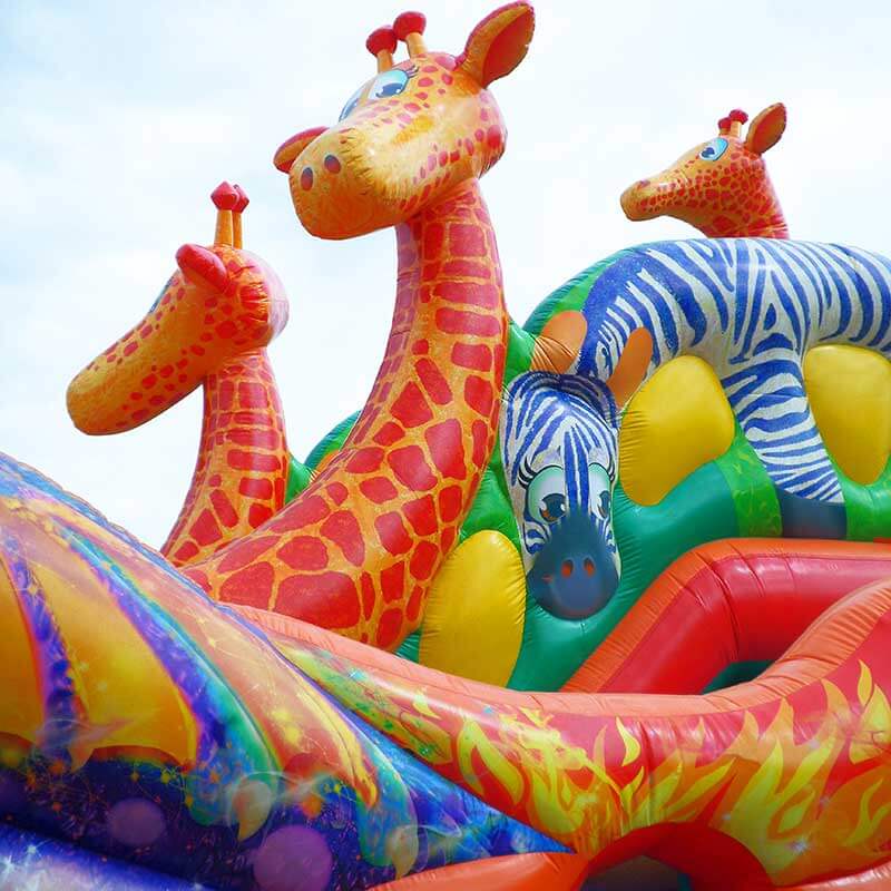 bouncy-animals