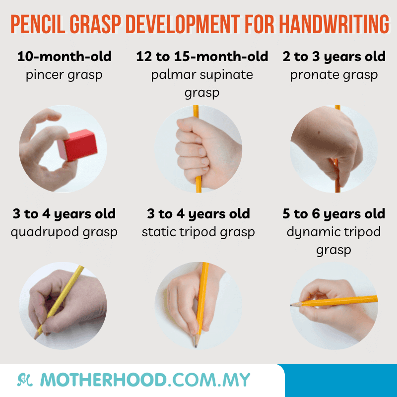 This infographic shares the typical pencil grasp development for handwriting.