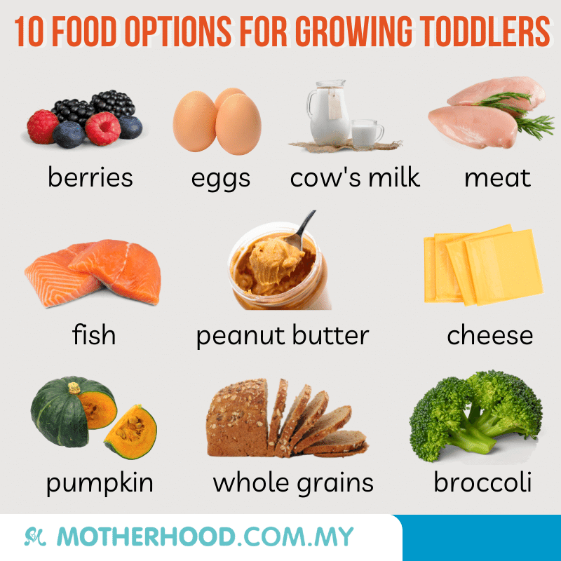 This infographic shares 10 food options for growing toddlers.