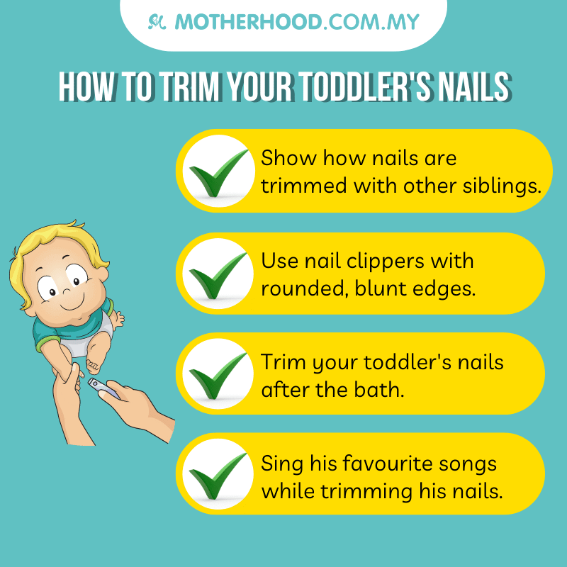 This infographic shares how you can help your toddler to trim his nails.