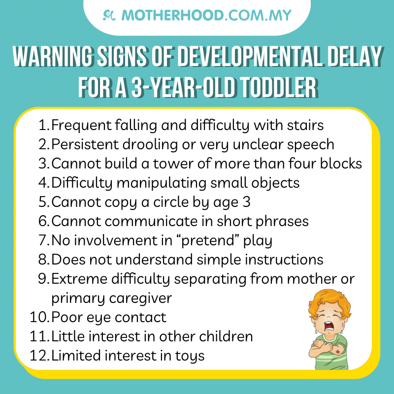 This infographic shares 12 warning signs of developmental delay fir a 3-year-old.