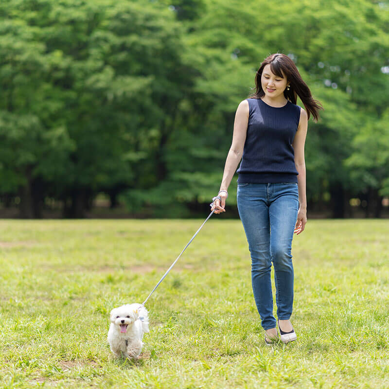 woman-walk-pet