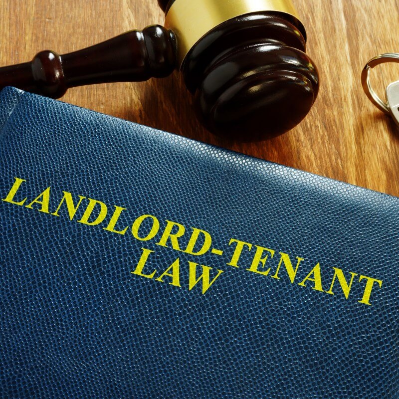 Landlord tenant law