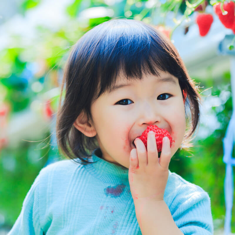 A girl eating strawberry