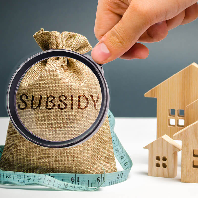 subsidy