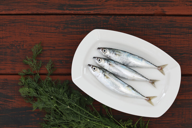 fish names in English