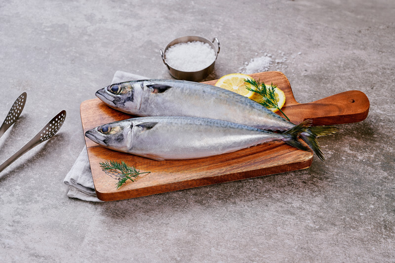 fish names in English