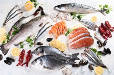 fish names in English