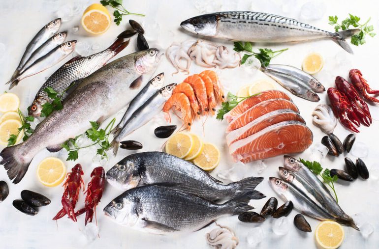 fish names in English