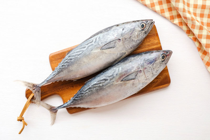 fish names in English