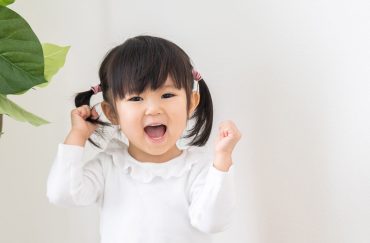 27-month-old developmental milestones