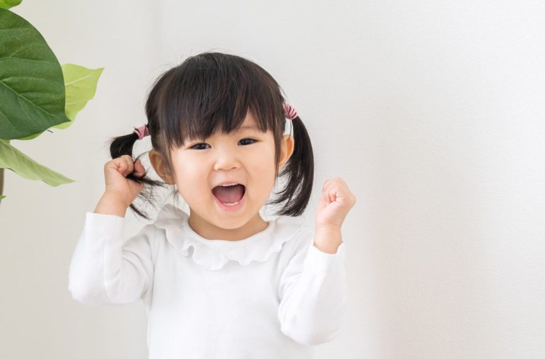 27-month-old developmental milestones