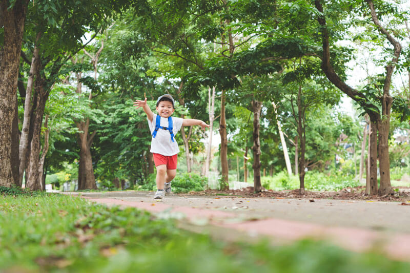 30-month-old developmental milestones