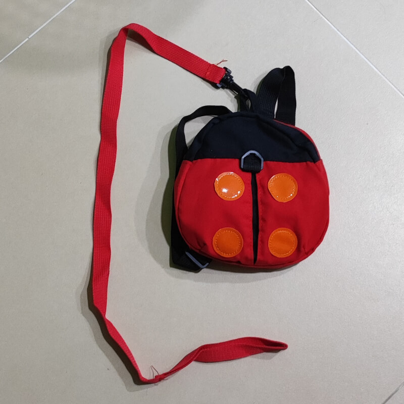 Bought a harness for Malaysia Day
