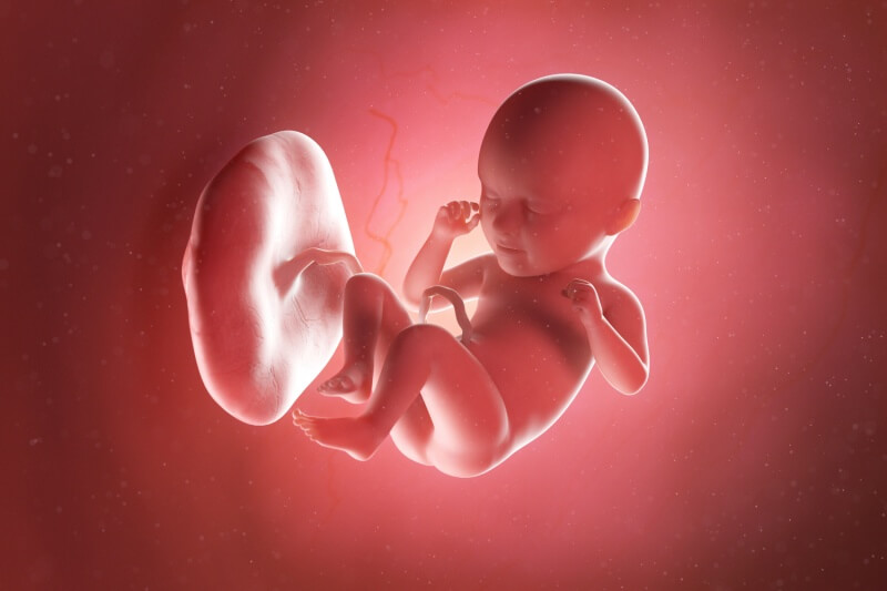 35-week-fetus