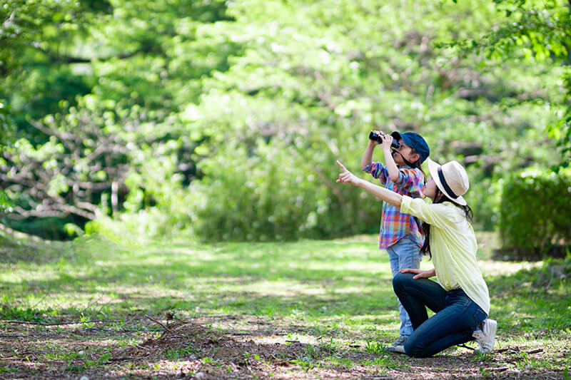 children's day child-outing
