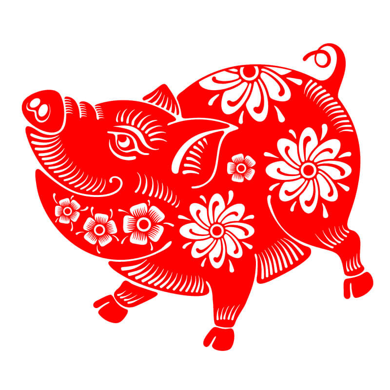 Pig zodiac