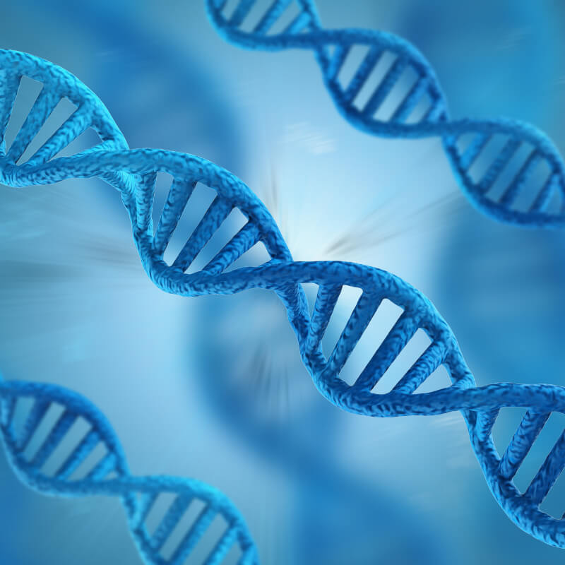 genetic could caused narcissistic personality disorder