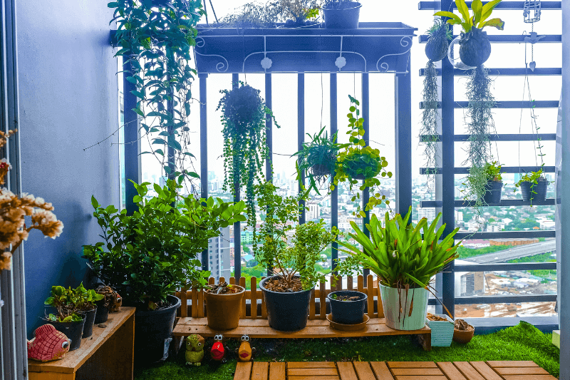 limited space balcony garden ideas