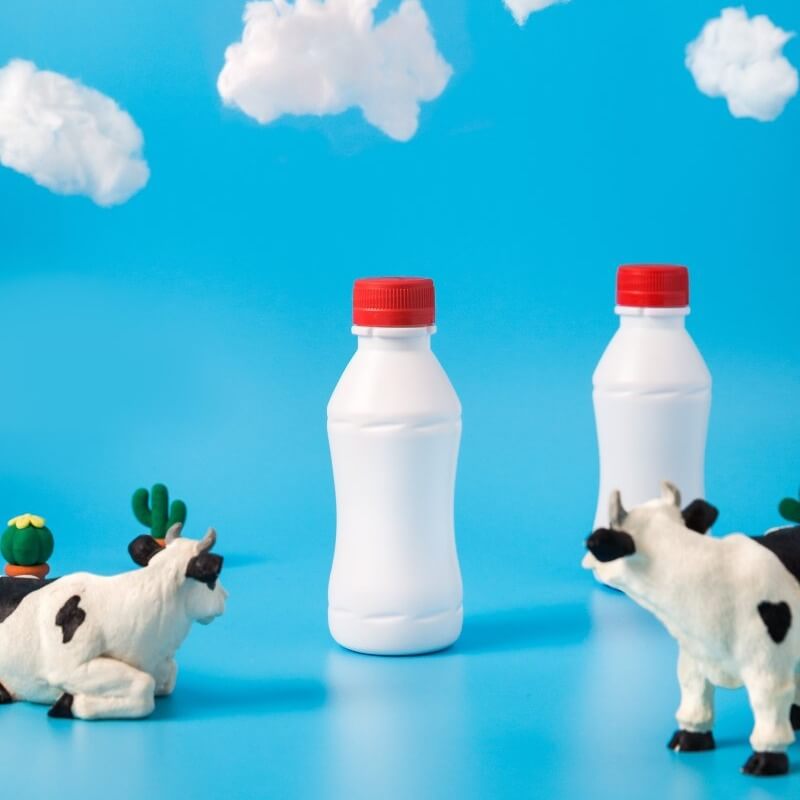 toy cows with milk bottle