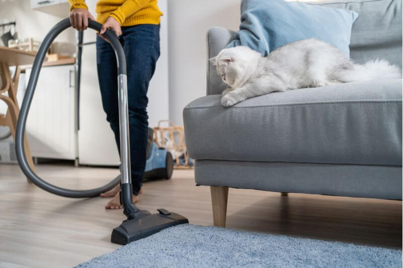 vacuuming-cat-fur